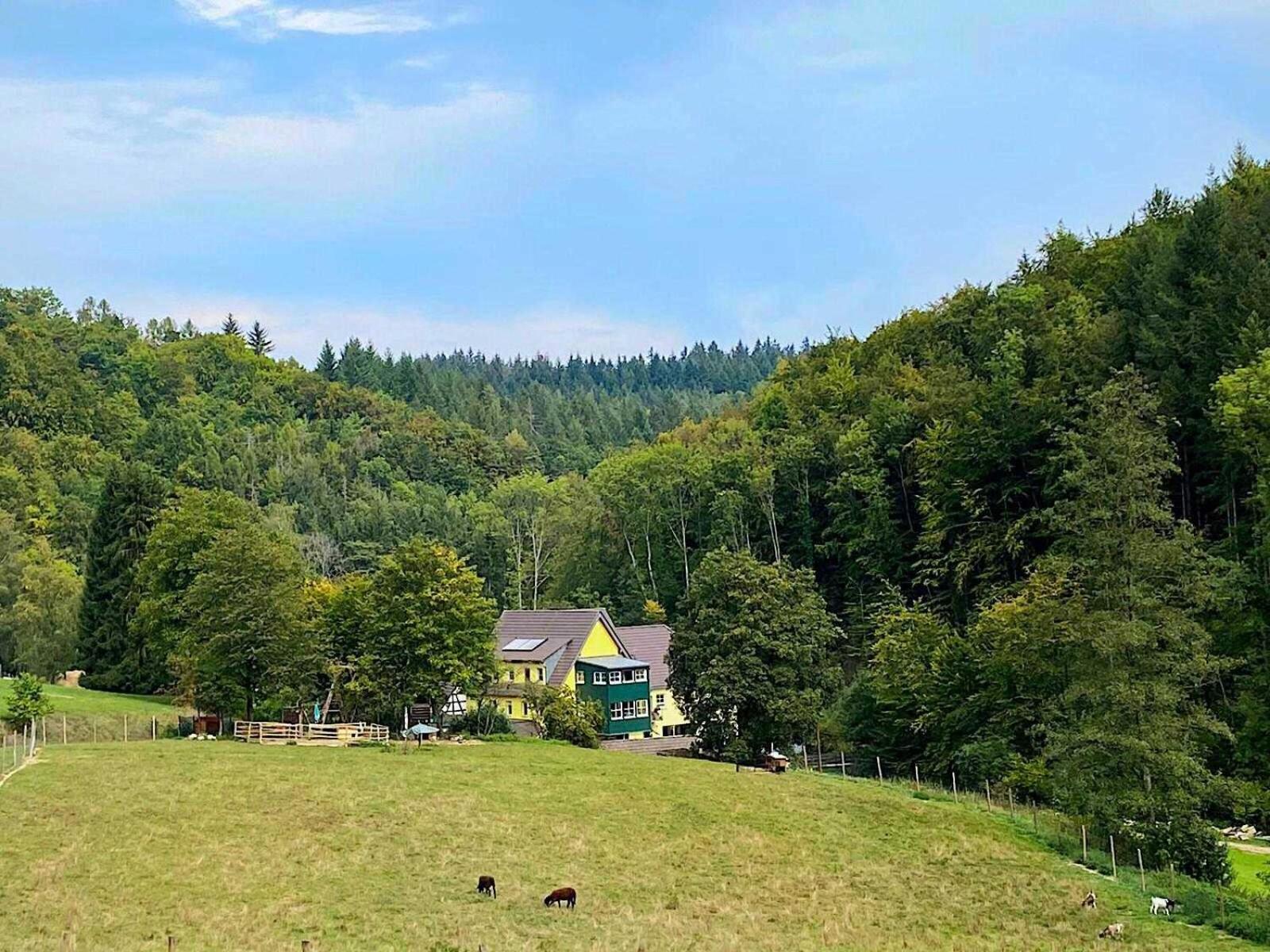 Siegelsbacher Muehle Exterior foto
